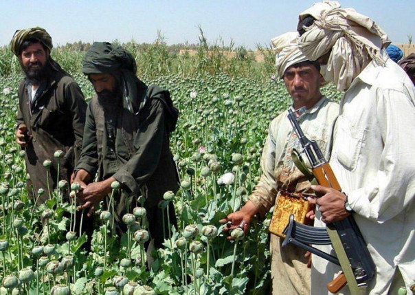 Нарколаборатория глобального масштаба – успешный проект США в Афганистане