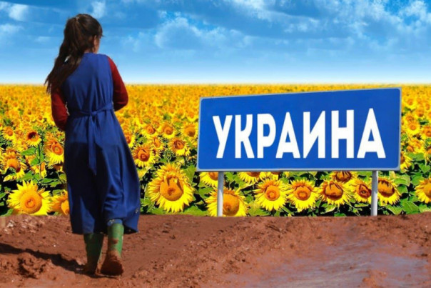 Украина: афганские беженцы и цинизм эвакуации