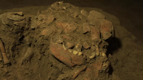 В Индонезии найдены останки женщины, принадлежащей к неизвестному роду