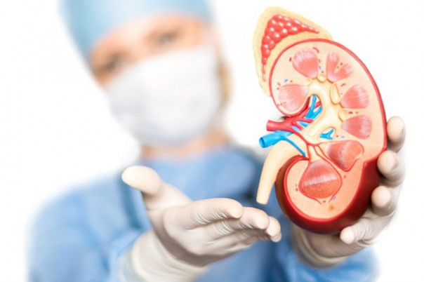 Мочекаменная болезнь: предпосылки, диагностика и лечение