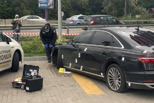 Украинские думы о поджоге Рейхстага