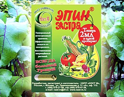 Эпин Экстра: особенности препарата