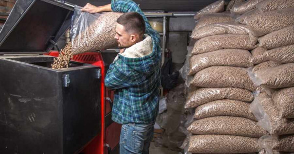 Холод — не тетка: Польша и Литва переходят на древесное топливо из Беларуси