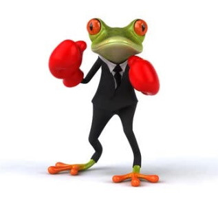 Роющие лягушки устраивают бойцовский клуб