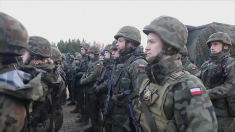 На территорию Польши попали несколько десятков нелегалов