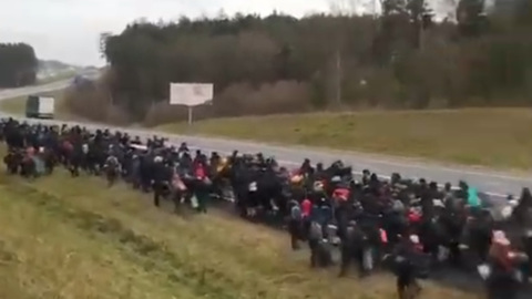 50 нелегалов штурмом прорвались в Польшу через границу с Белоруссией