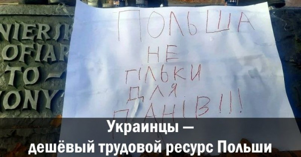 Украинцы — дешёвый трудовой ресурс Польши