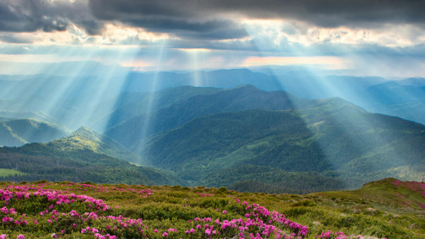 У золота Карпат нашли «российский след»