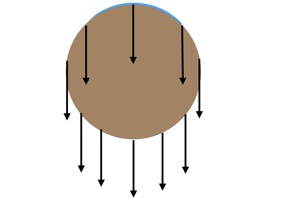 юрий лоза плоская земля. юрий лоза фотожабы. юрий лоза плос ая земля. лоза плоская земля. юрий лоза плоскоземельщик.