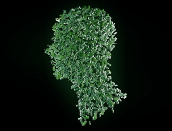 Управляющая компания: как бактерии руководят людьми