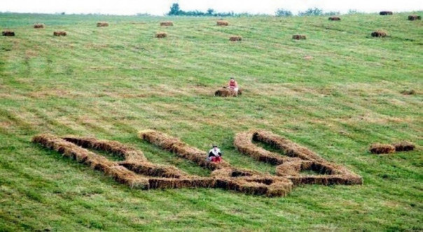 Украина: «аграрная сверхдержава» приказала долго жить