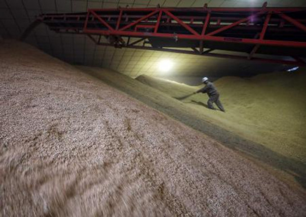 Скупают всё: китайцы разогнали цены на продовольствие