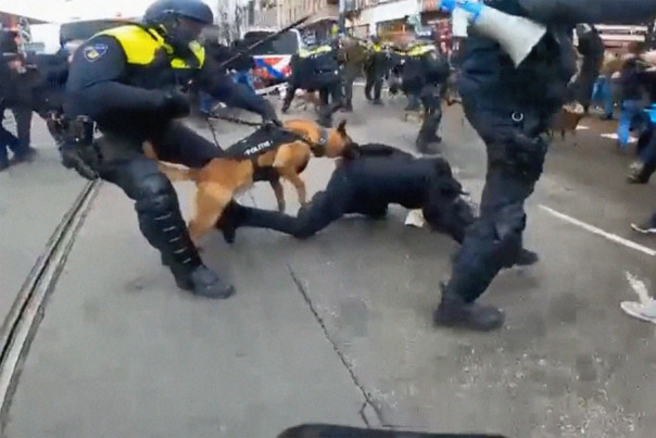 Дубинки, газ — вчерашний день! Теперь в Европе модно на людей натравливать собак