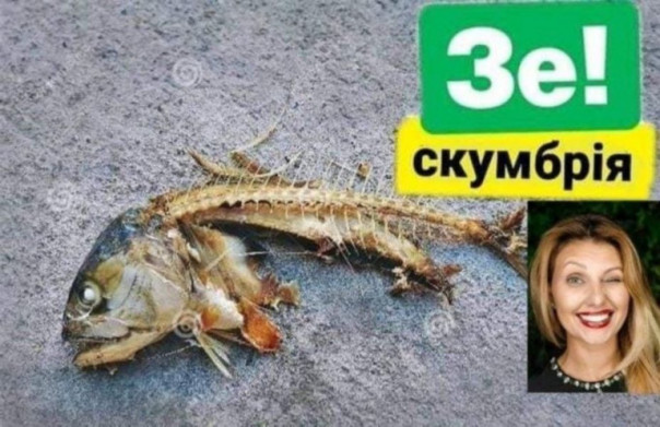Как пани Скумбриевич учила нацию дёшево питаться?
