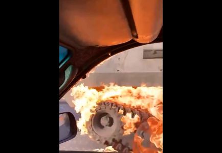 Как молодые олени провоцируют российские войска