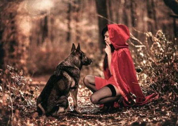 Нью-УПА: собаки собираются к хвосту, который ими вертит? Владимир Скачко