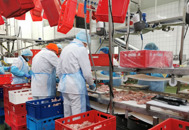 Что можно узнать на форуме про работу в Польше?