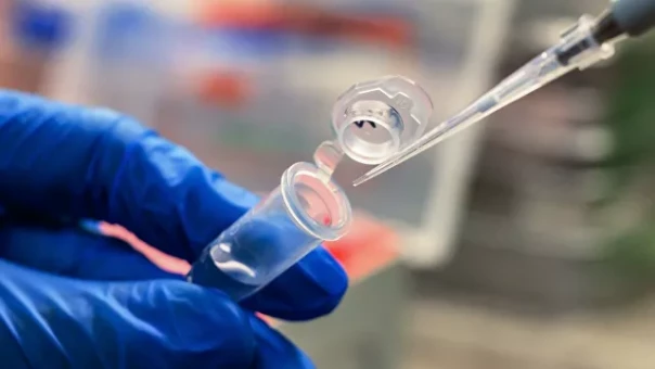 Минобороны обнародовало документы о связи США с биолабораториями на Украине