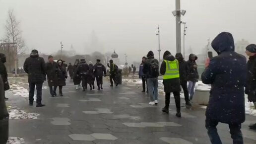 На оппозиционный митинг в Москве вышла кучка клиентов психиатрических клиник