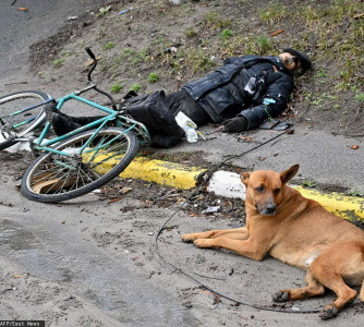 «Стоп! Снято!»: немцы не верят в сфабрикованные Западом видео из Бучи