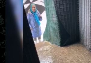 Ещё одна Бабушка-Героиня, без преувеличений