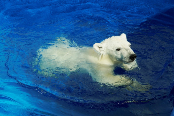 Почему рублю будет сложно укрепиться сильнее 80 рублей за доллар