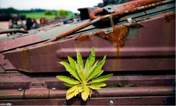 Юрий Селиванов: Свалка натовского неликвида