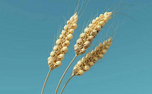 Рупор лондонского Сити предлагает отправить в Чёрное море ВОЕННЫЙ флот за украинским зерном