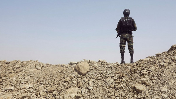 Камерун и Россия укрепляют свое сотрудничество