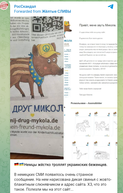 Немцы жёстко троллят украинских беженцев свиньей