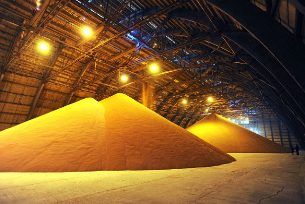 Назван российский товар, без которого всем грозит голод даже с зерном