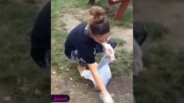 Бизнес в Варшаве для беженцев из Украины