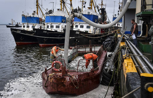 Россия приостанавливает соглашение с Японией о промысле морских живых ресурсов