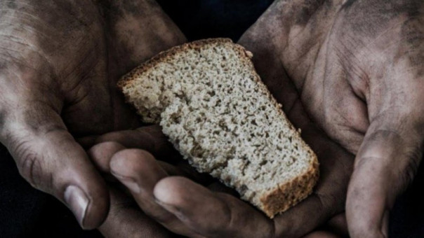 «Украина кормит весь мир!» или почему этот лозунг ложь