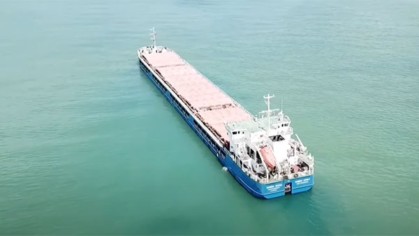 СМИ: Турция не задерживала российский сухогруз по запросу Украины