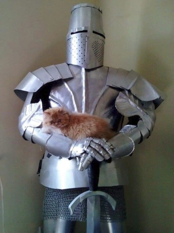 «Глобальная выносливость»: спор по-донбасски. Владимир Скачко