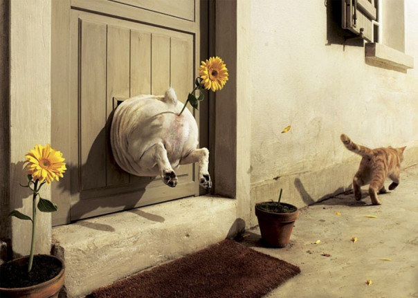 C Днём незалёжности, США: God Save the Queen, или Боже, убей Америку!!!