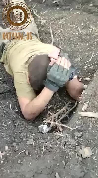 Российские бойцы взяли в плен боевиков ВСУ: Так их и бросают на убой отдельными маленькими группами. По 5-7 человек