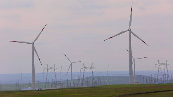 Опавший фиговый листочек "зеленых" и перелом в настроениях немцев