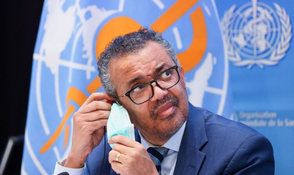 Почему гендиректор ВОЗ объявил режим чрезвычайной ситуации из-за обезьяньей оспы?