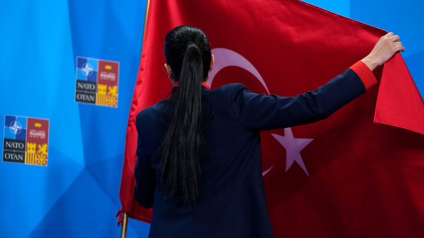 «Не отвечает представлениям американского истеблишмента»: почему в США назвали Турцию вызовом мировому сообществу