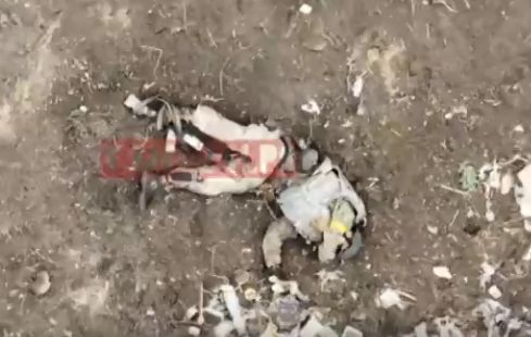 Укры пошли на штурм позиций НМ ЛНР, а выяснилось что все пришли на утилизацию (Видео 18+)