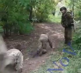 Боевики ВСУ пошли в атаку на Запорожском направлении:  выжившие на четвереньках ползут в плен