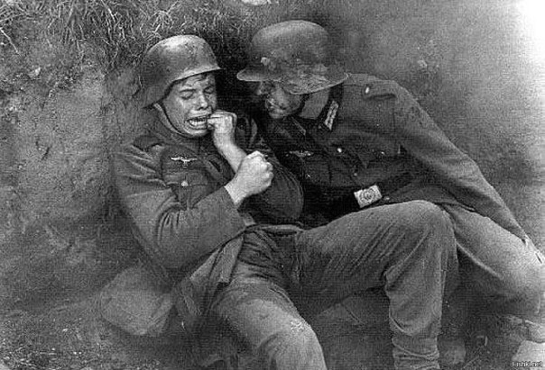 Прополка укропа. Взгляд из грядок