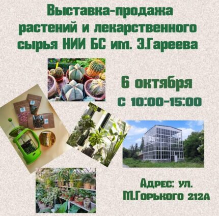 Сайт Бишкека: множество категорий и свежих новостей