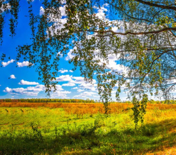 О долгах больших и малых и о Родине