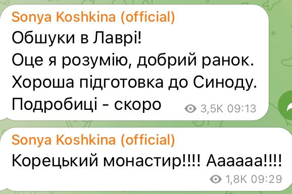 В Киево-Печерской Лавре приспешники сатаны из иСБУшки ищут диверсантов.