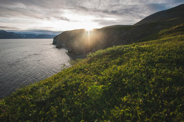 В США захотели отобрать у России остров Врангеля