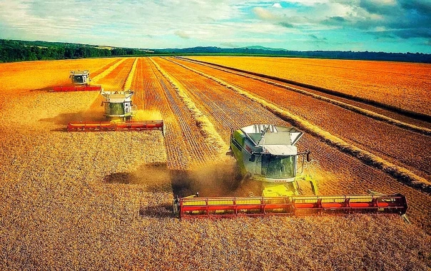 Россия под шумок подмяла сельскохозяйственный рынок Ближнего Востока. Весь!