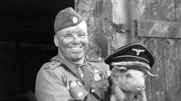 Трибунал грабежа. Запад создает инструмент для отжима российских денег. Владимир Скачко